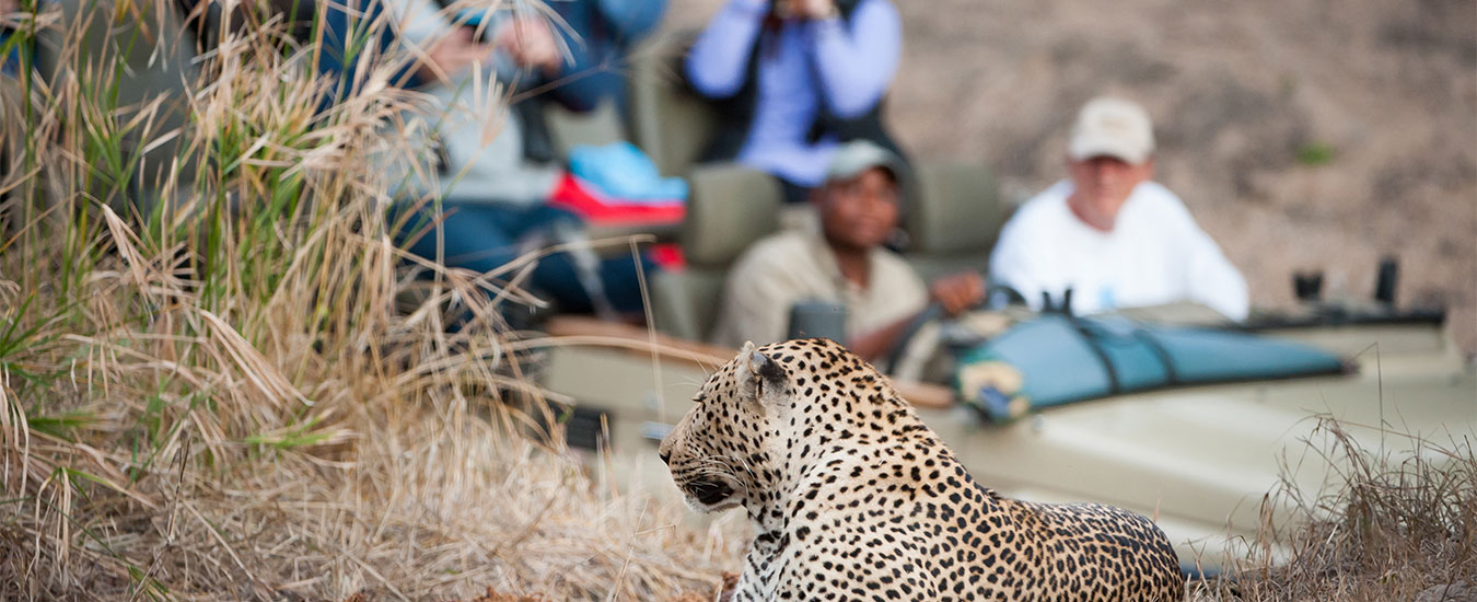 Amargarh Leopard Safari